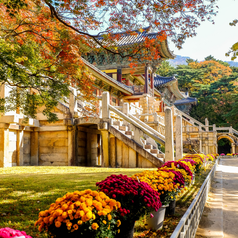 제주동해일주 7일