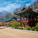 내륙일주(제주제외) 7일