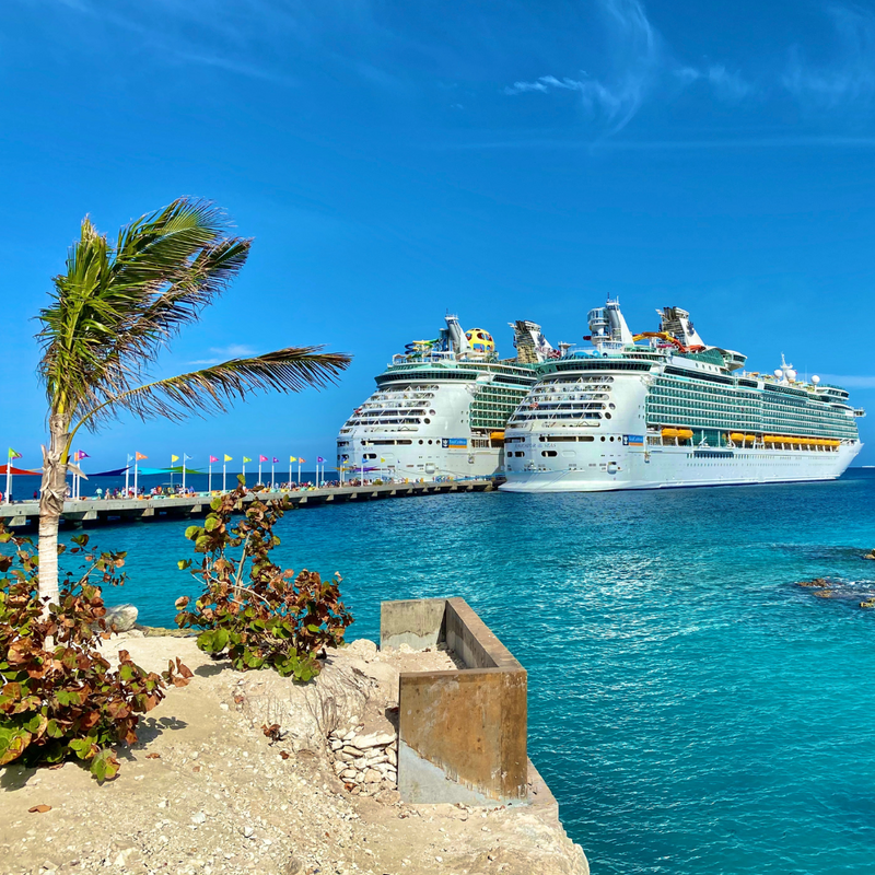 하와이 일주 크루즈 8일