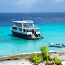 하와이크루즈 17일 (LA출발-왕복)