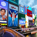 동경 & 오사카 6일