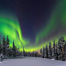 더이상 아름다운 경치는 없다 ! 북유럽4개국 11일