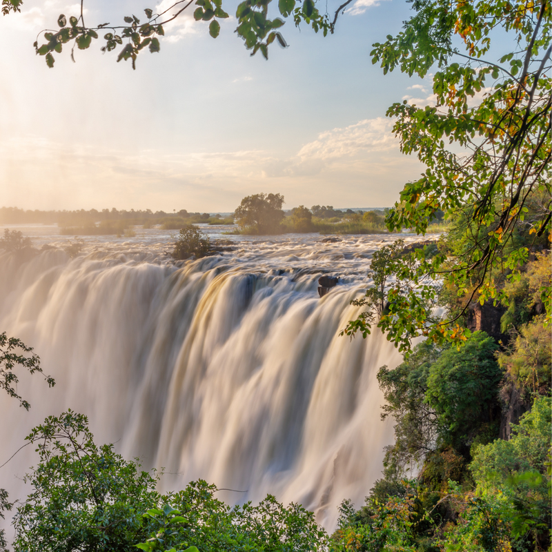 특급 아프리카 / 두바이(4박) 16일