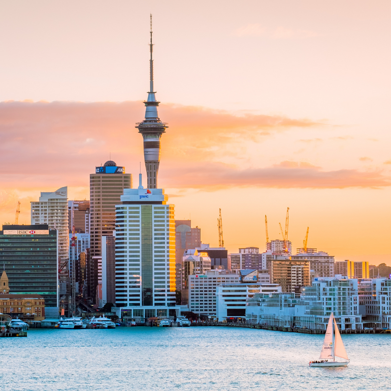 호주/뉴질랜드 크루즈 투어 14일