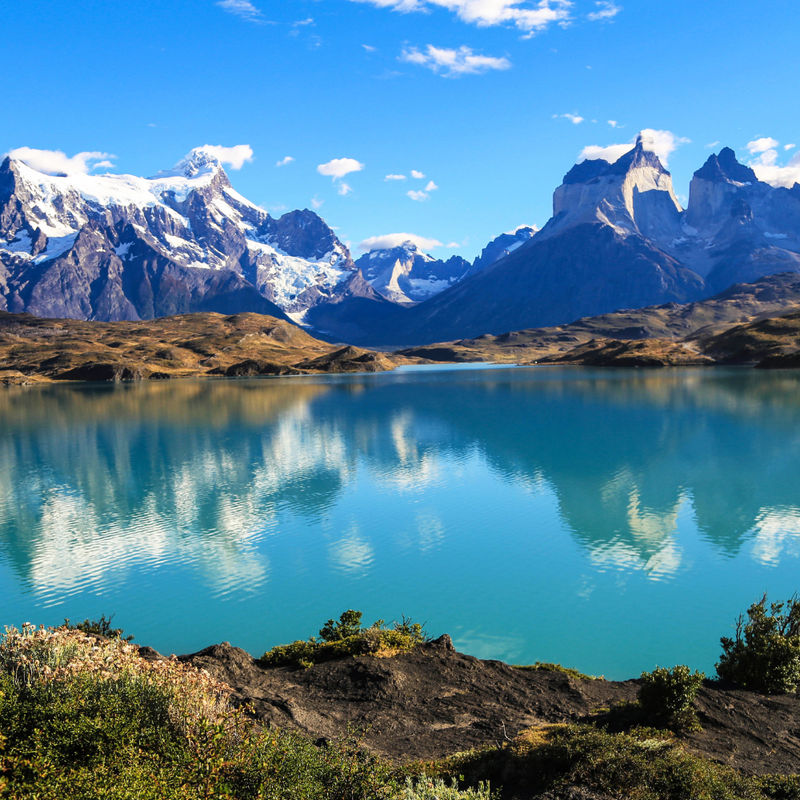정통 남미(파타고니아) 크루즈 16일