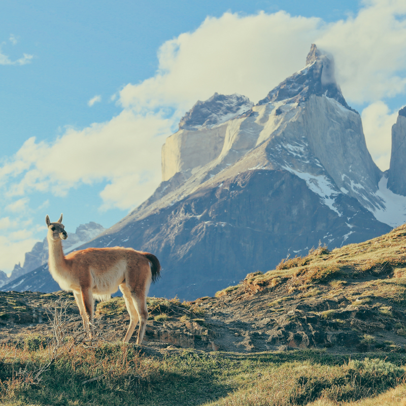 파타고니아 10일