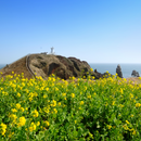 서남해 제주 6일