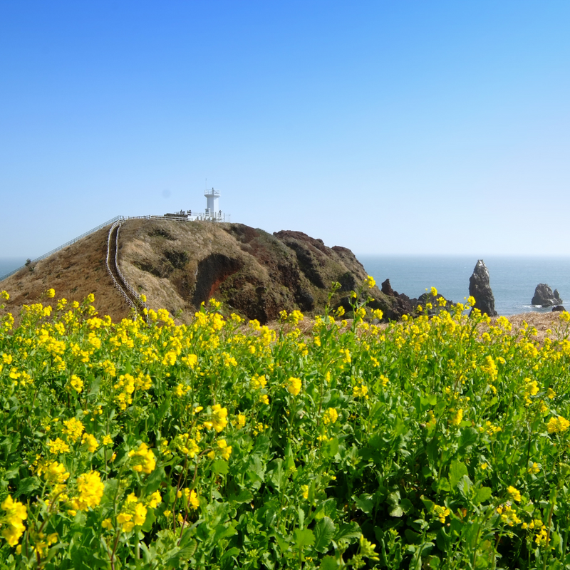 서남해 제주 6일