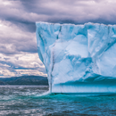 알래스카 크루즈 글레이셔 베이 포함!