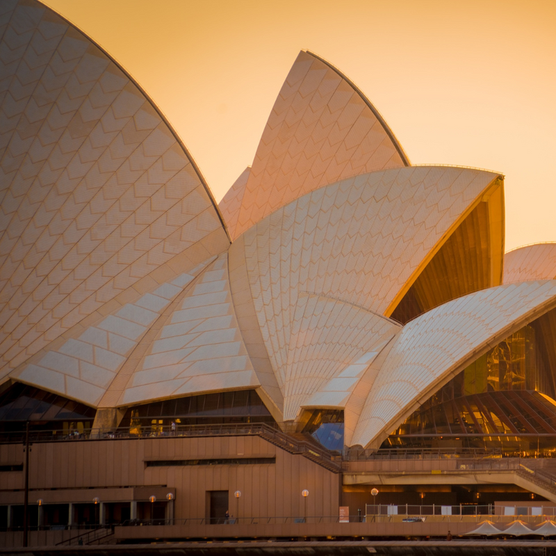 시드니 + 포트스테판 7일