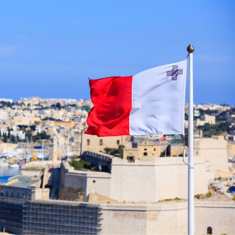 서 지중해 크루즈