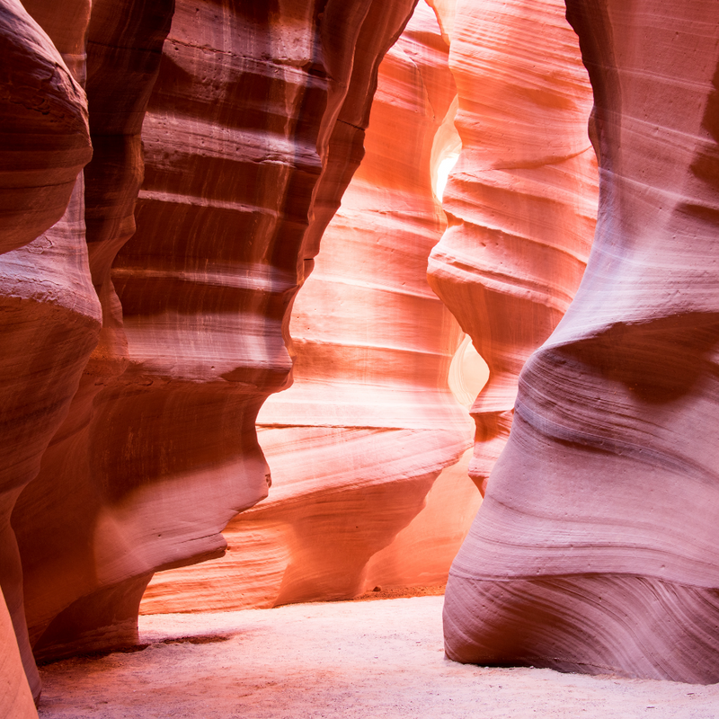 세도나 + 4대 캐년