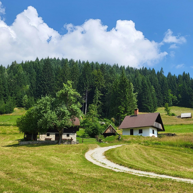 동 지중해 크루즈