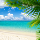 이스턴 캐리비안 9일 크루즈 (알루어)