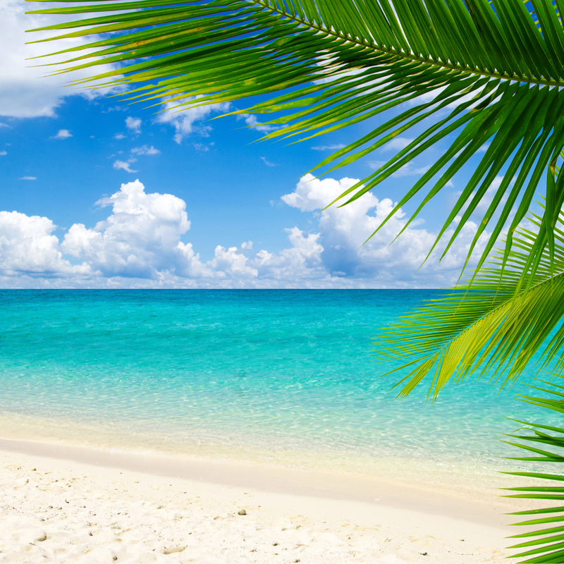 이스턴 캐리비안 9일 크루즈 (알루어)