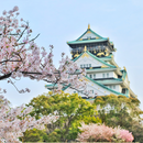 동경 & 오사카 6일