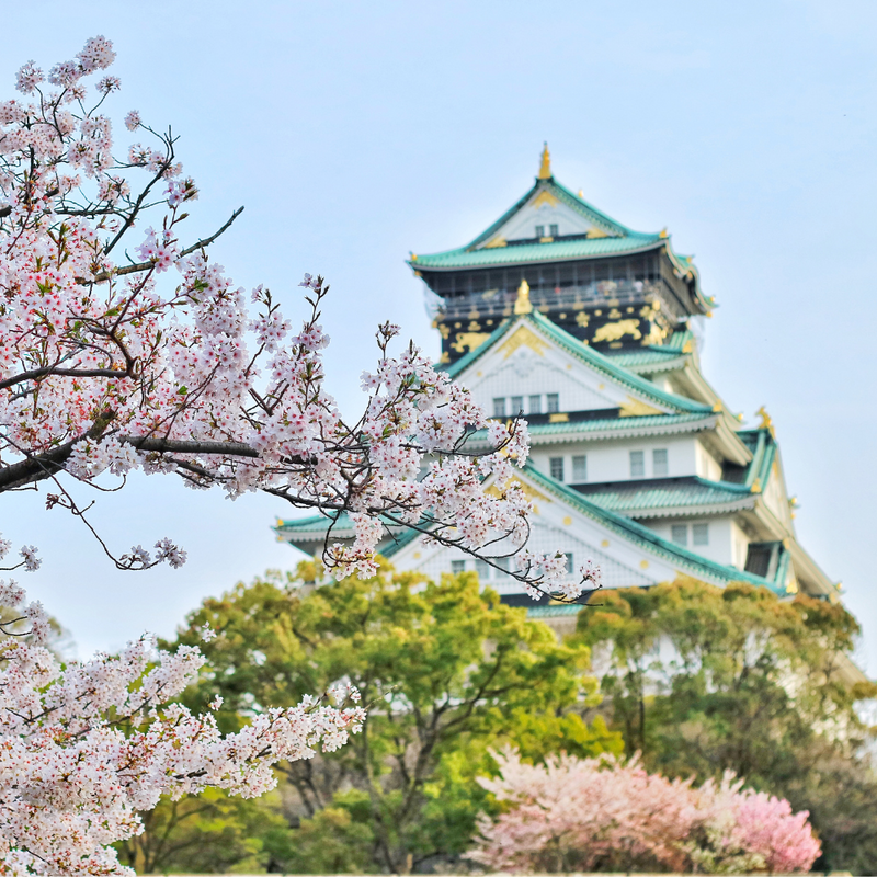 동경 & 오사카 6일