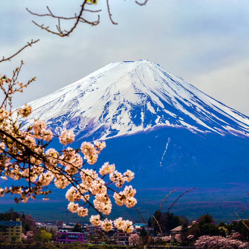 동경 (하코네) 4일