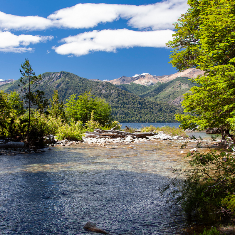 파타고니아 10일