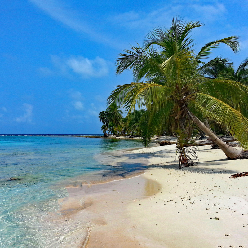 파나마 운하 크루즈 15일