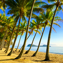 BAJA MEXICO 3박4일