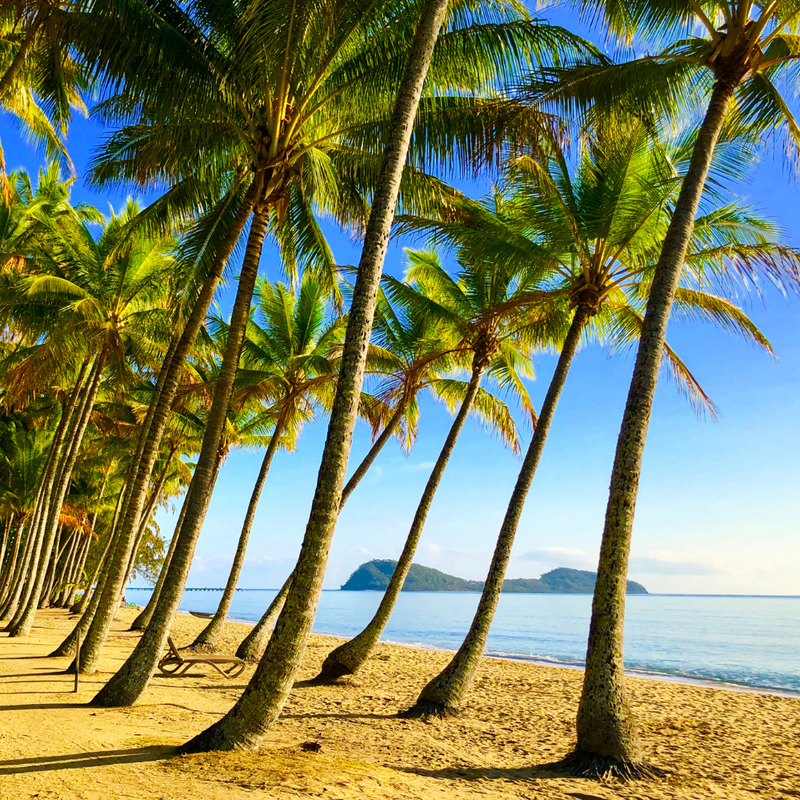 BAJA MEXICO 3박4일