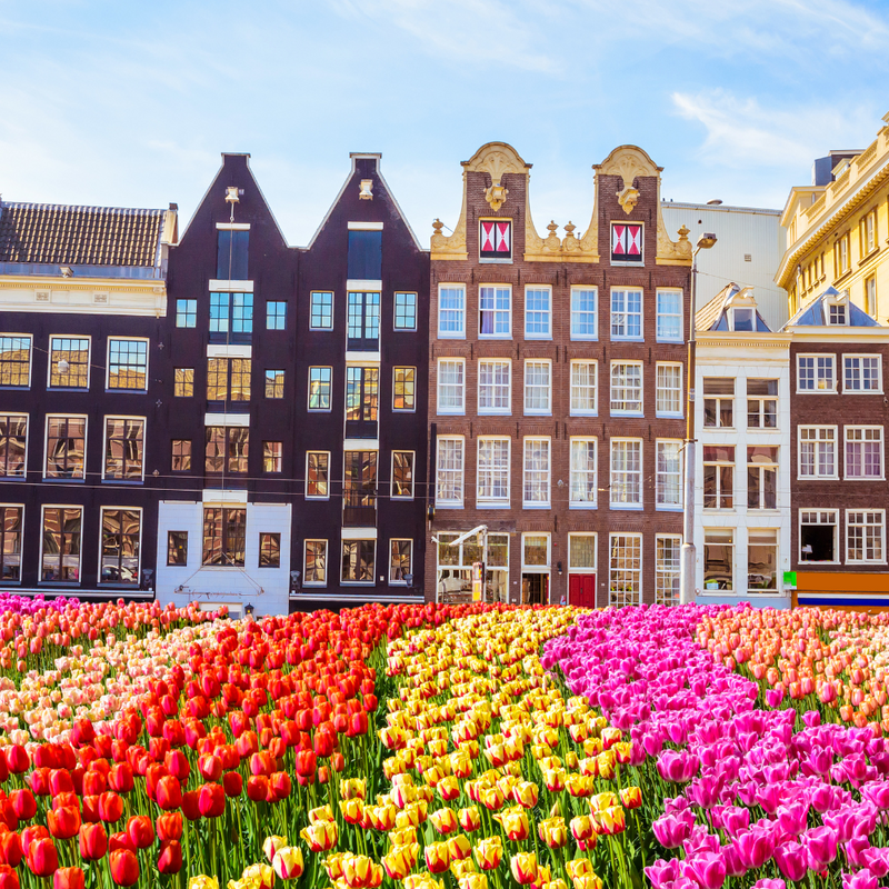 Grand European Tour 바이킹 크루즈 16일