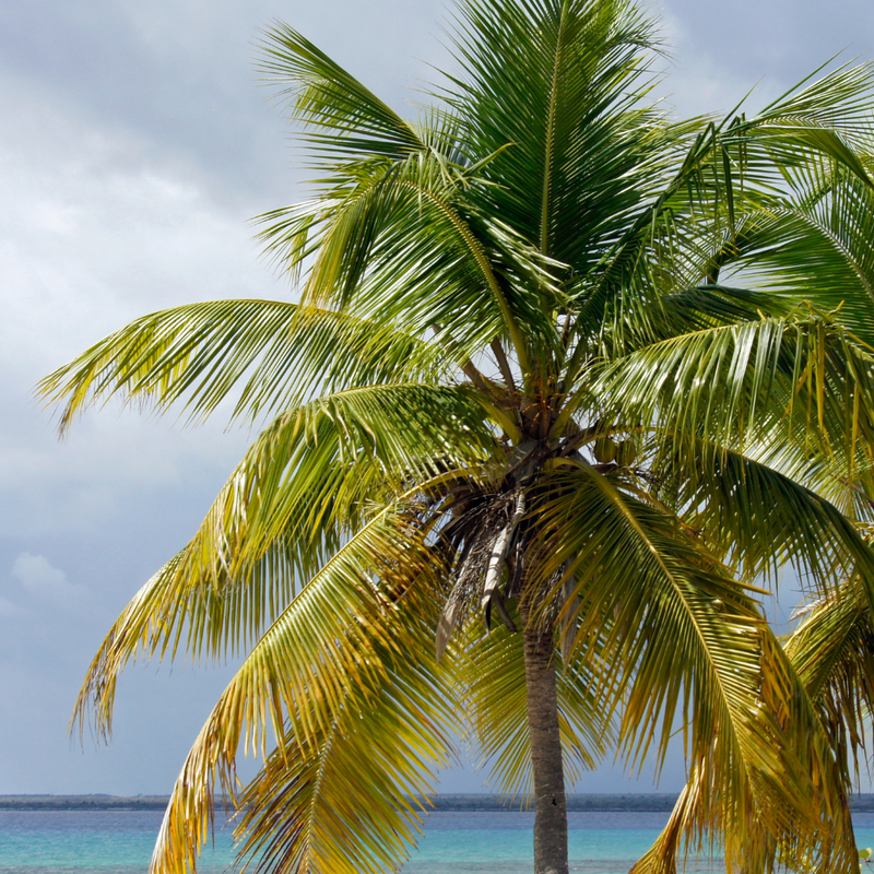 BAJA MEXICO 4박 5일