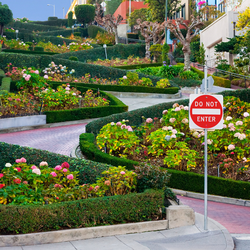 요세미티/샌프란시스코 3일