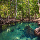 방콕, 파타야 6일