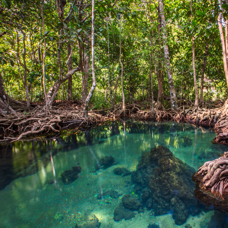 방콕, 파타야 6일