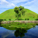 내륙일주(제주제외) 7일