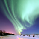 프린세스 로얄을 타고 떠나는 알래스카 크루즈