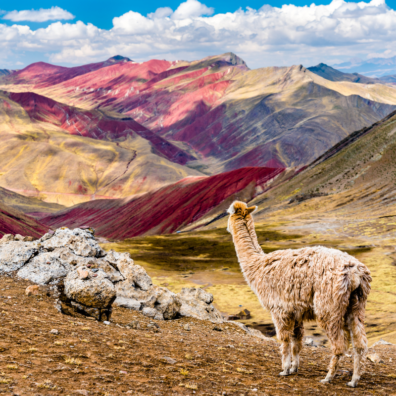 페루, 우유니, 파타고니아 16일