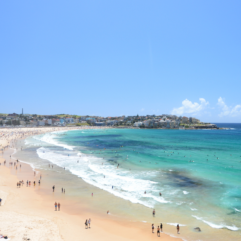 시드니 + 포트스테판 7일