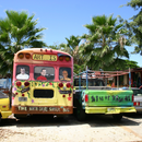 하와이 일주 크루즈 8일