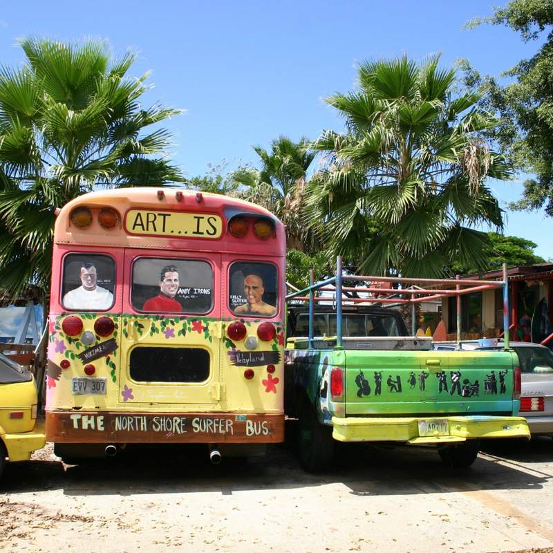 하와이 일주 크루즈 8일