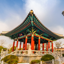 일본 관광 + 모국 투어