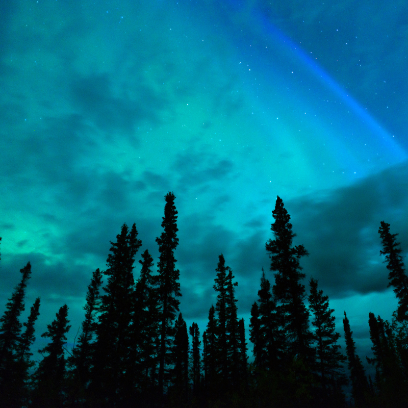 알래스카 크루즈 글레이셔 베이 포함!