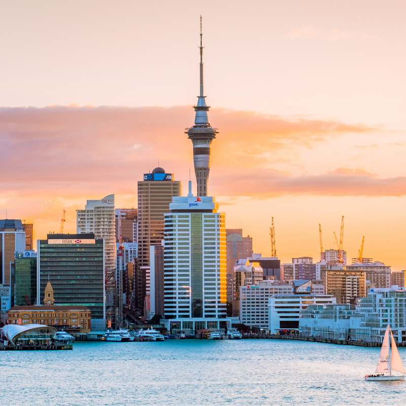 뉴질랜드 호주 11일