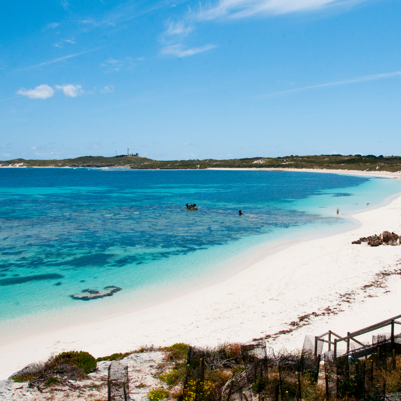 시드니 + 포트스테판 7일