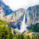 캘리포니아 드림