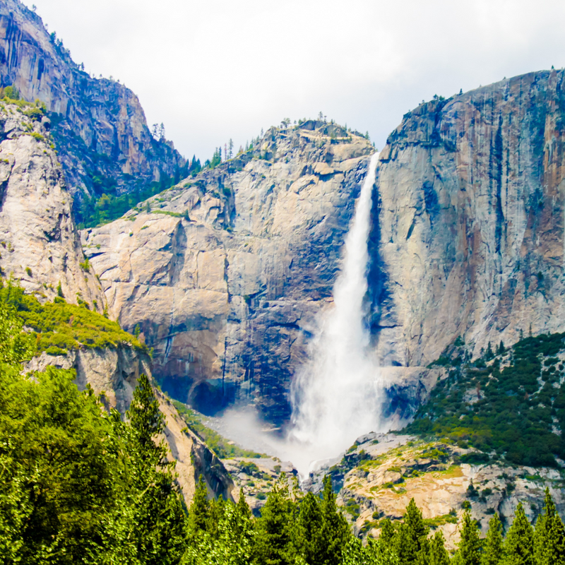 캘리포니아 드림