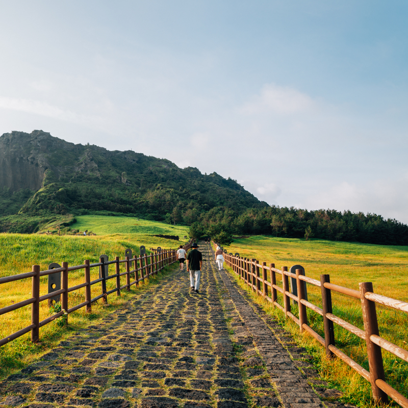 제주동해일주 7일