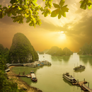 하노이/하롱베이 5일