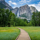 요세미티/샌프란시스코 3일