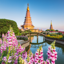 베트남에서 시작되어 태국 9일