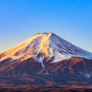 동경 & 오사카 6일