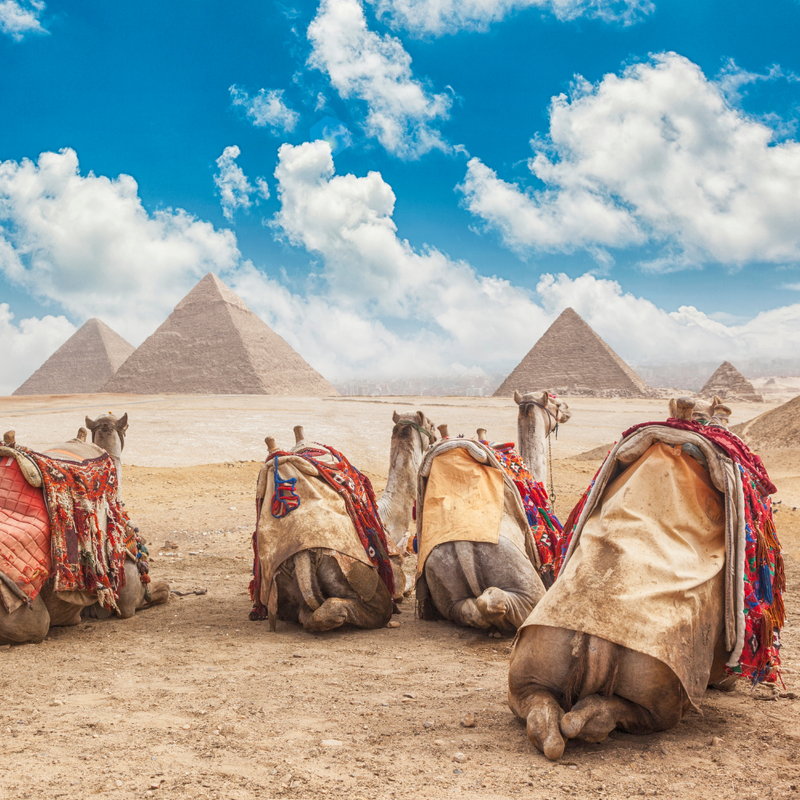 세련된 화려함 두바이 & 사막의 신비와 문화 이집트 12일