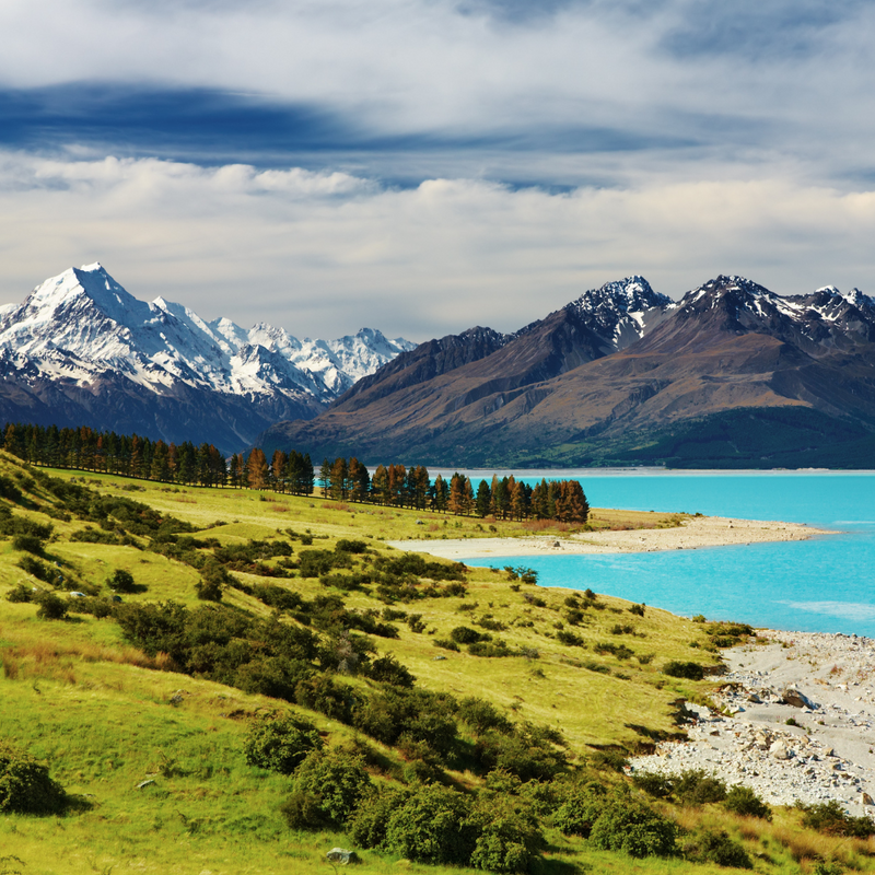 뉴질랜드 호주 11일